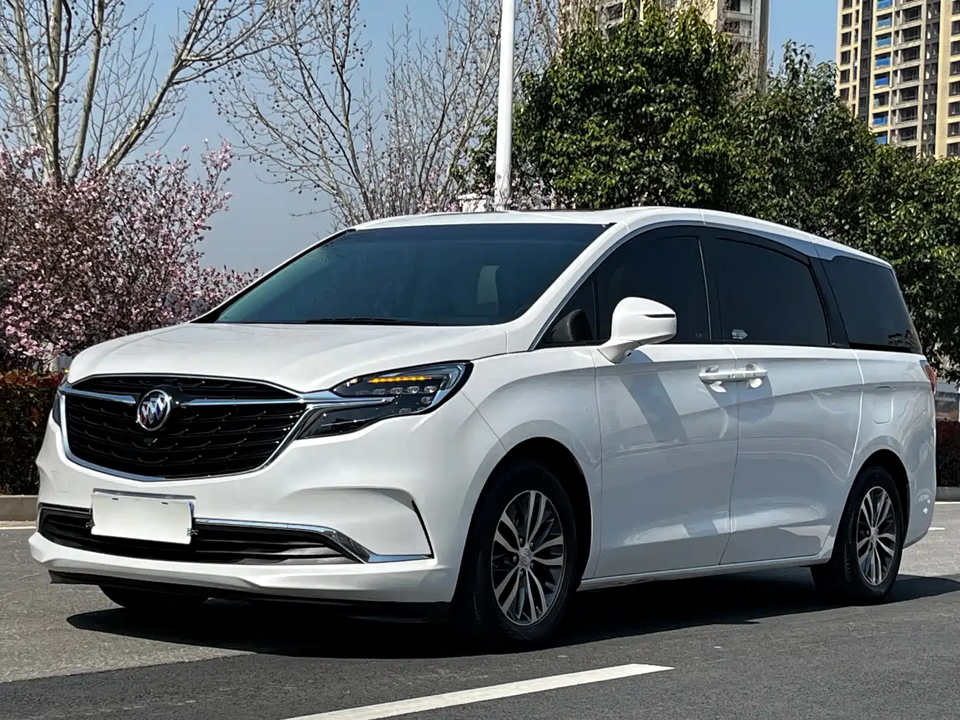 Buick GL8 2022 ES Landmark 653T Comfort