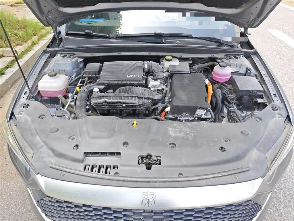 BYD Qin PLUS 2024 Glory Edition DM-i 55KM Leading фото 17