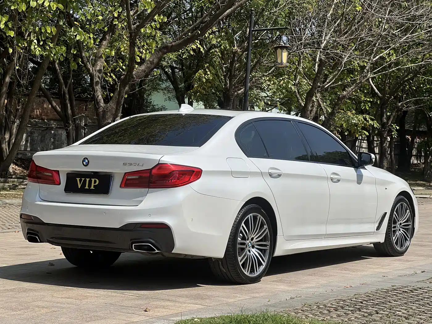 BMW 5 Series 2019 530Li Leading M Sport Package фото 20