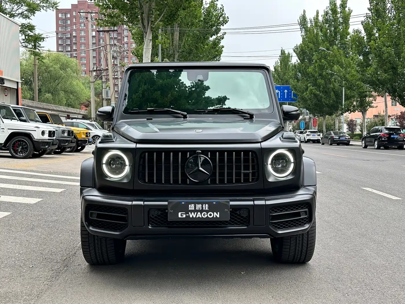 Mercedes-Benz G-Class 2019 G 500 фото 4