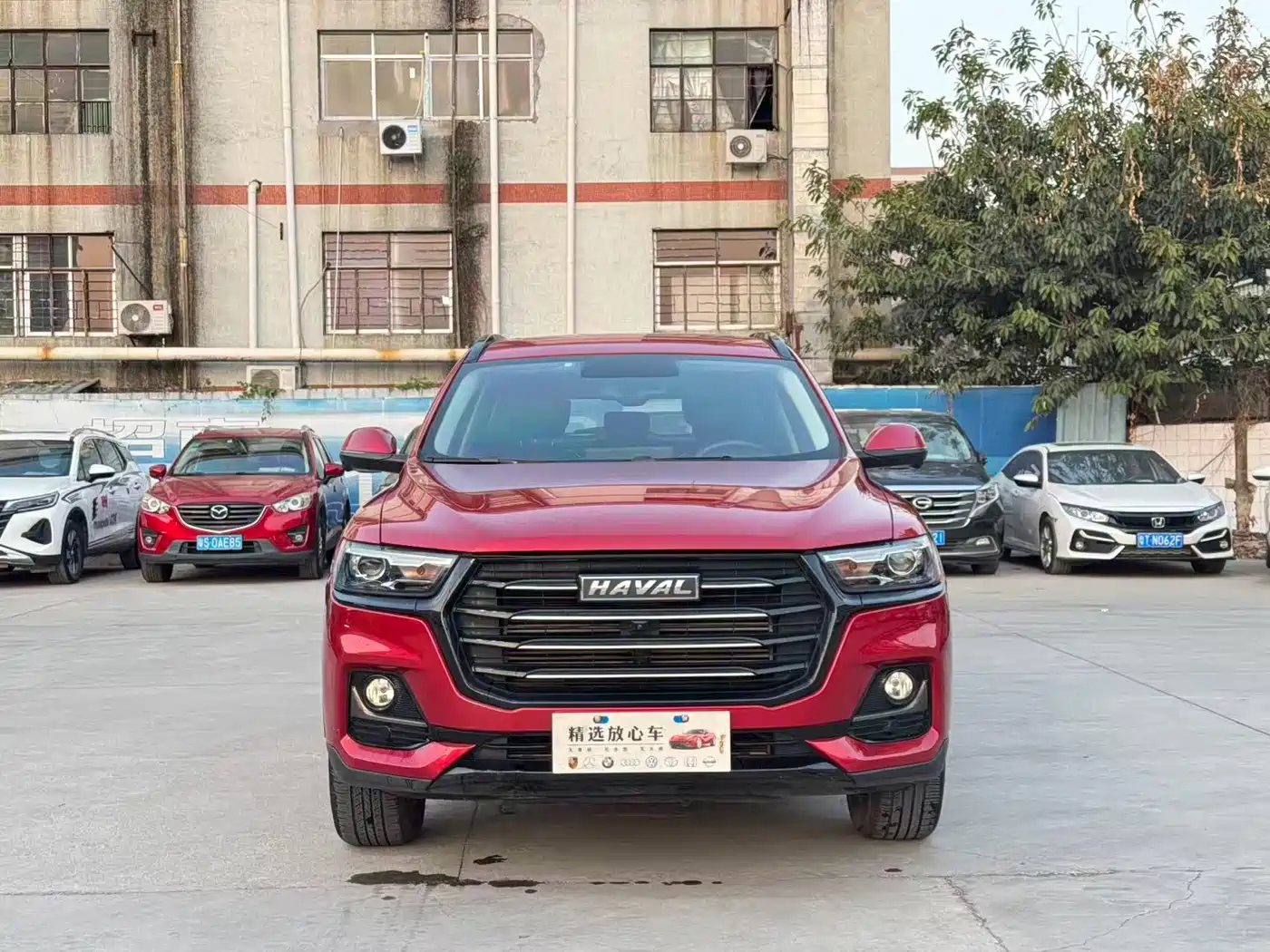 HAVAL H6