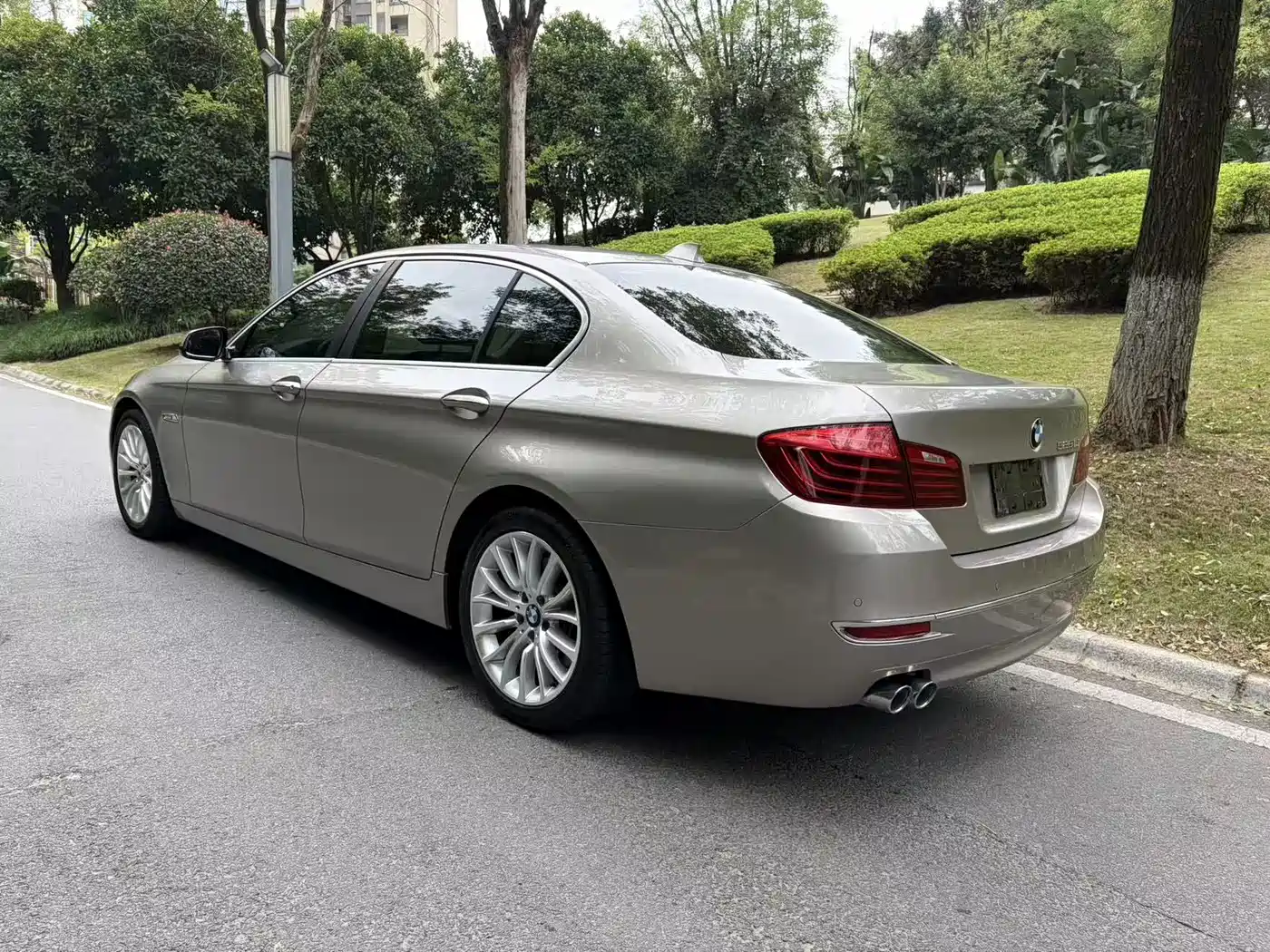 BMW 5 Series 2014 525Li Luxury Design Package фото 13