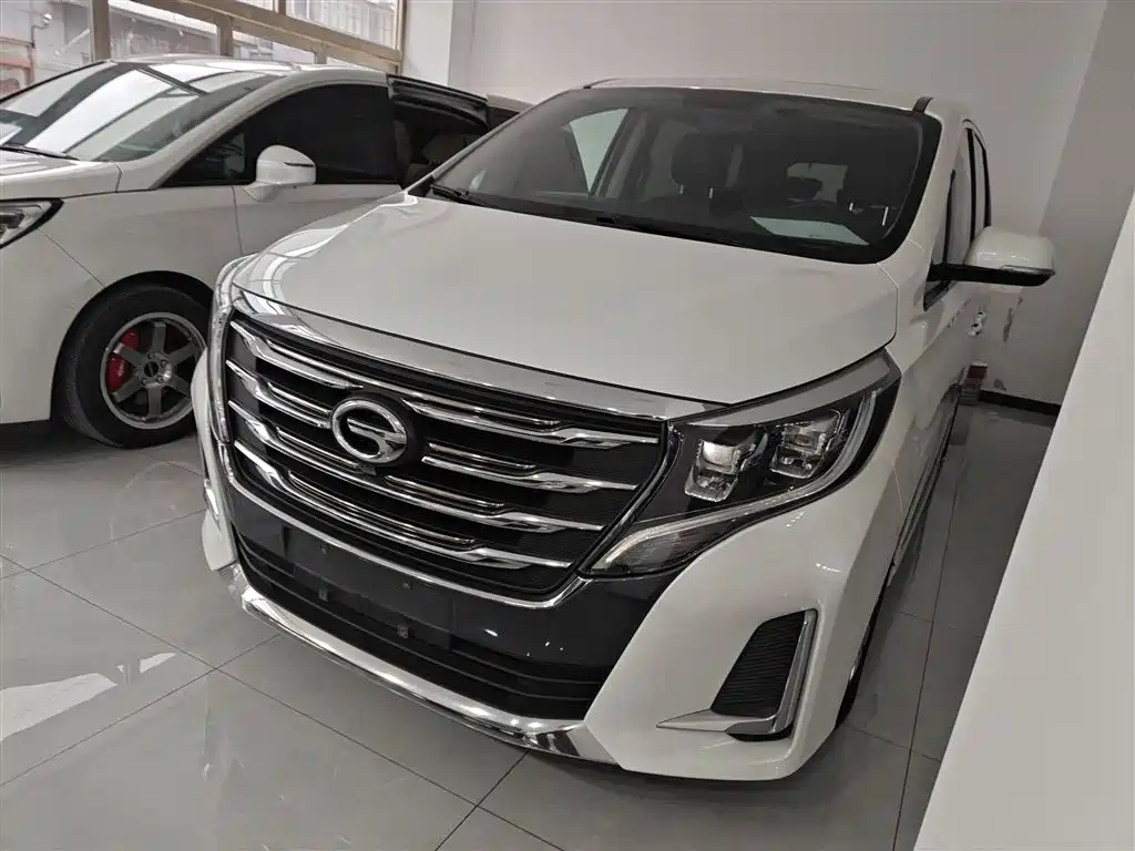 GAC Trumpchi Trumpchi M8 2020 Pilot 390T Premium Edition фото 2