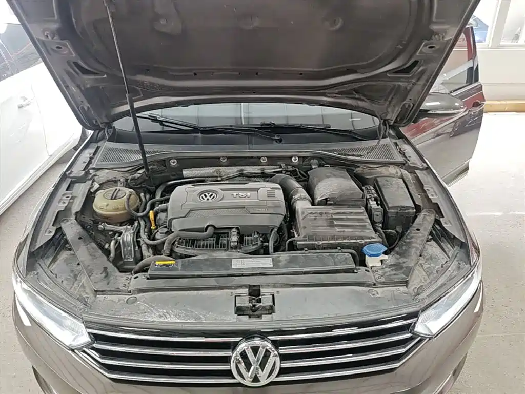 Volkswagen Magotan 2018 330TSI DSG Leading фото 20