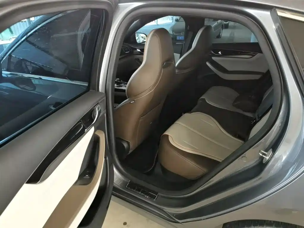 BYD Qin PLUS 2024 Glory Edition EV 420KM Surpass фото 17