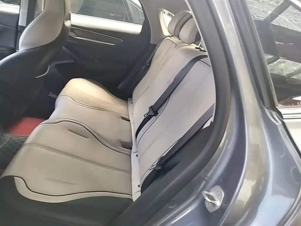 BYD Destroyer 05 2024 Glory Edition DM-i 55KM Luxury фото 17