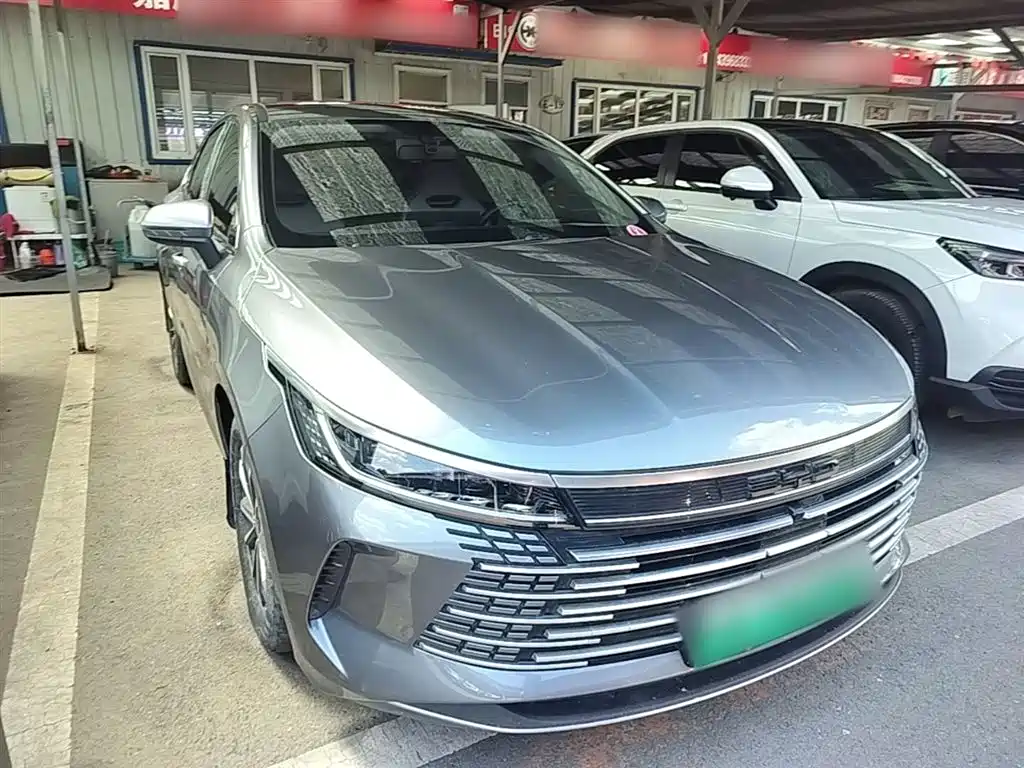 BYD Destroyer 05 2024 Glory Edition DM-i 55KM Luxury фото 4