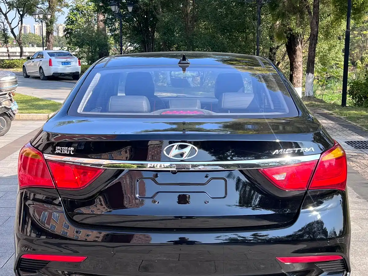 HYUNDAI NAME PICTURE