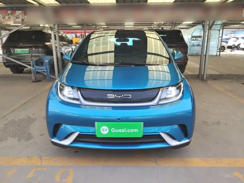 BYD Dolphin 2021 Model 405km Fashion Edition фото 3