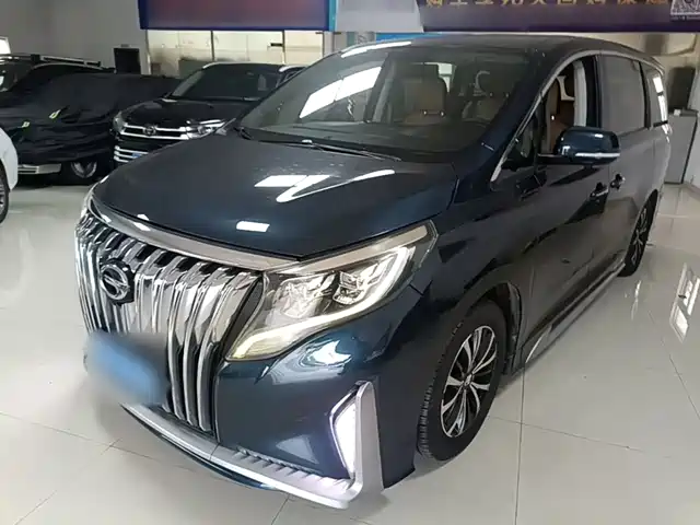 Trumpchi M8 Elegance Series, 390T, Люкс