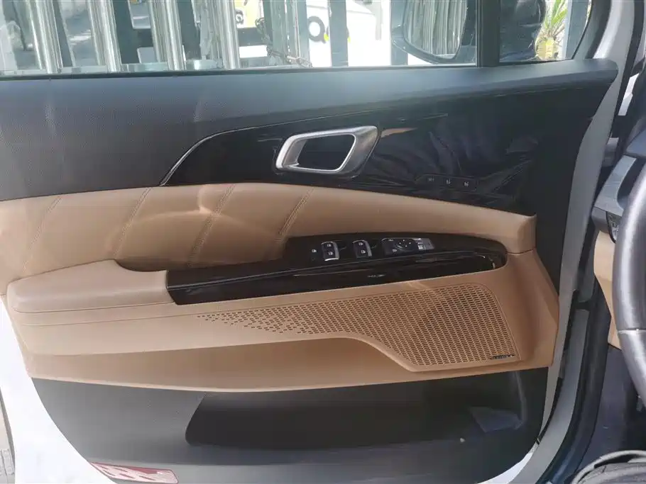 Kia Carnival 2021 2.0T Flagship Edition фото 7