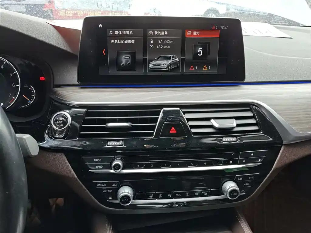 BMW 5 Series 2018 530Li xDrive Luxury Package фото 13