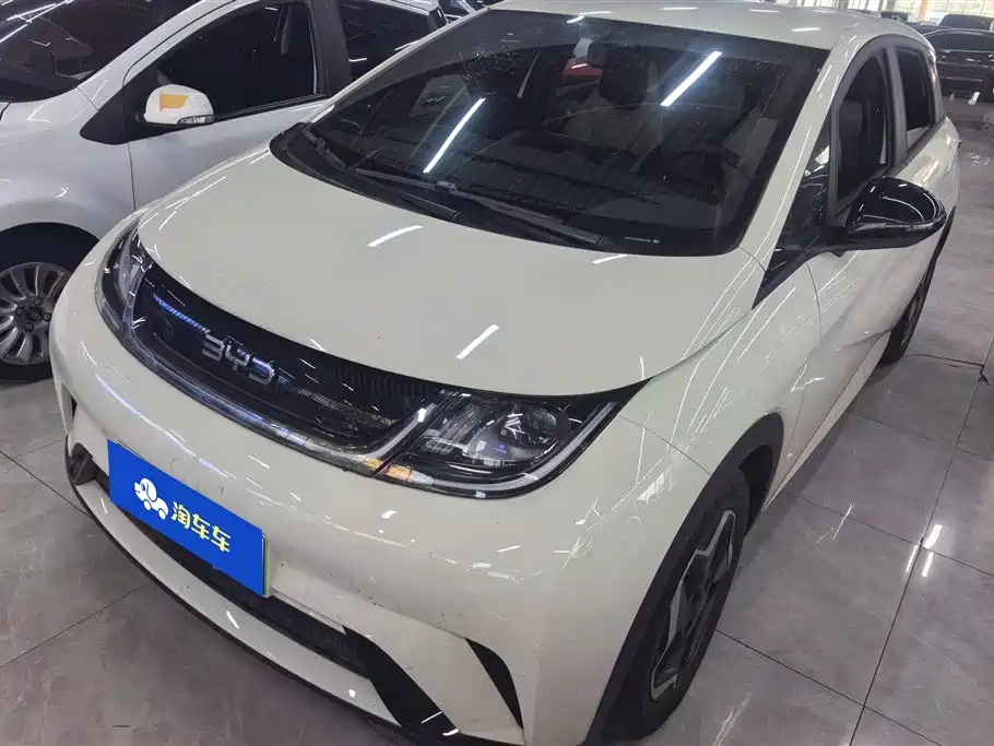 BYD Dolphin 2025 420km Vitality Edition