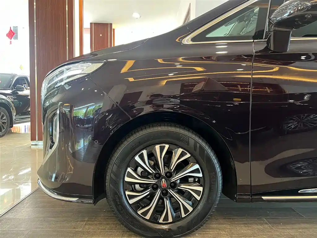 Hongqi HQ9 PHEV 2024 Model 2.0T AWD Luxury Edition фото 11