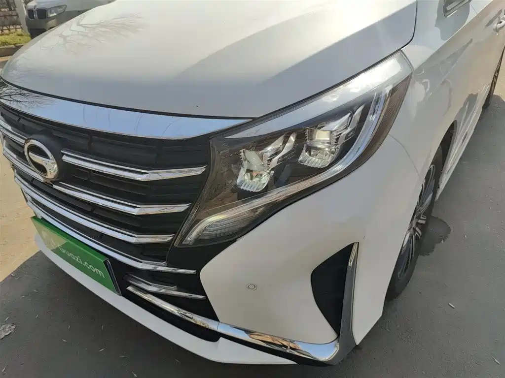 GAC Trumpchi Trumpchi M8 2021 Leading Show Series 390T Ultimate Edition фото 24