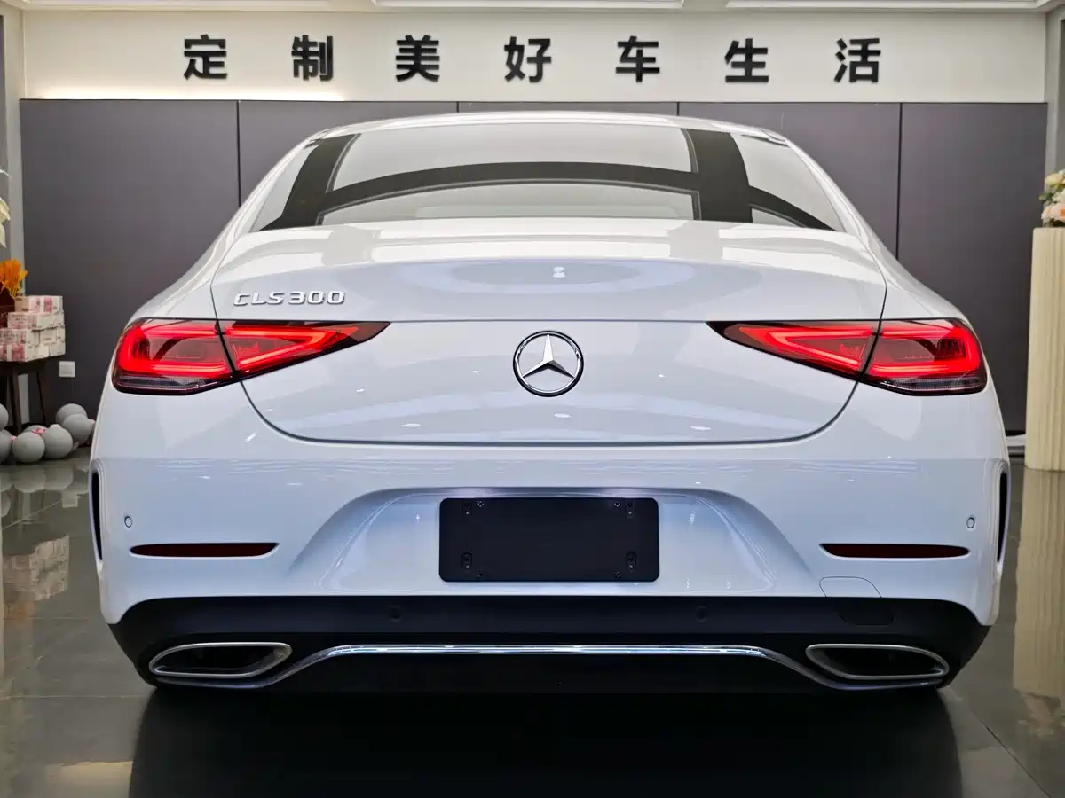 Mercedes-Benz CLS 2022 CLS 300 Dynamic фото 8