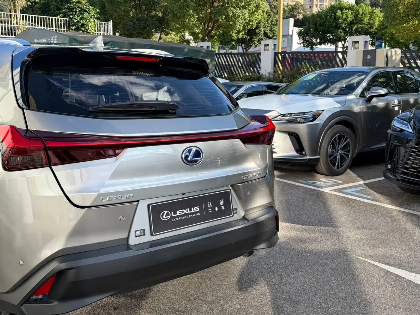 Lexus UX 2021 2020 260h Explore Fun Edition