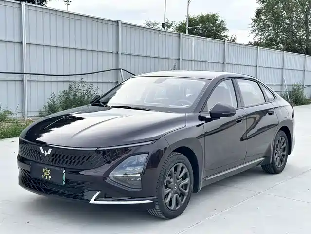  Wuling Motors Wuling Xingguang 2025 70km Smart Standard