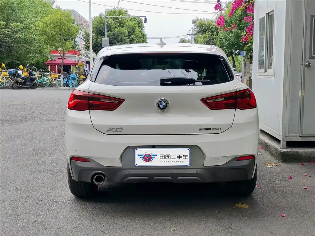 BMW X2 (Import) 2019 sDrive20i M Off-Road Package China VI фото 5