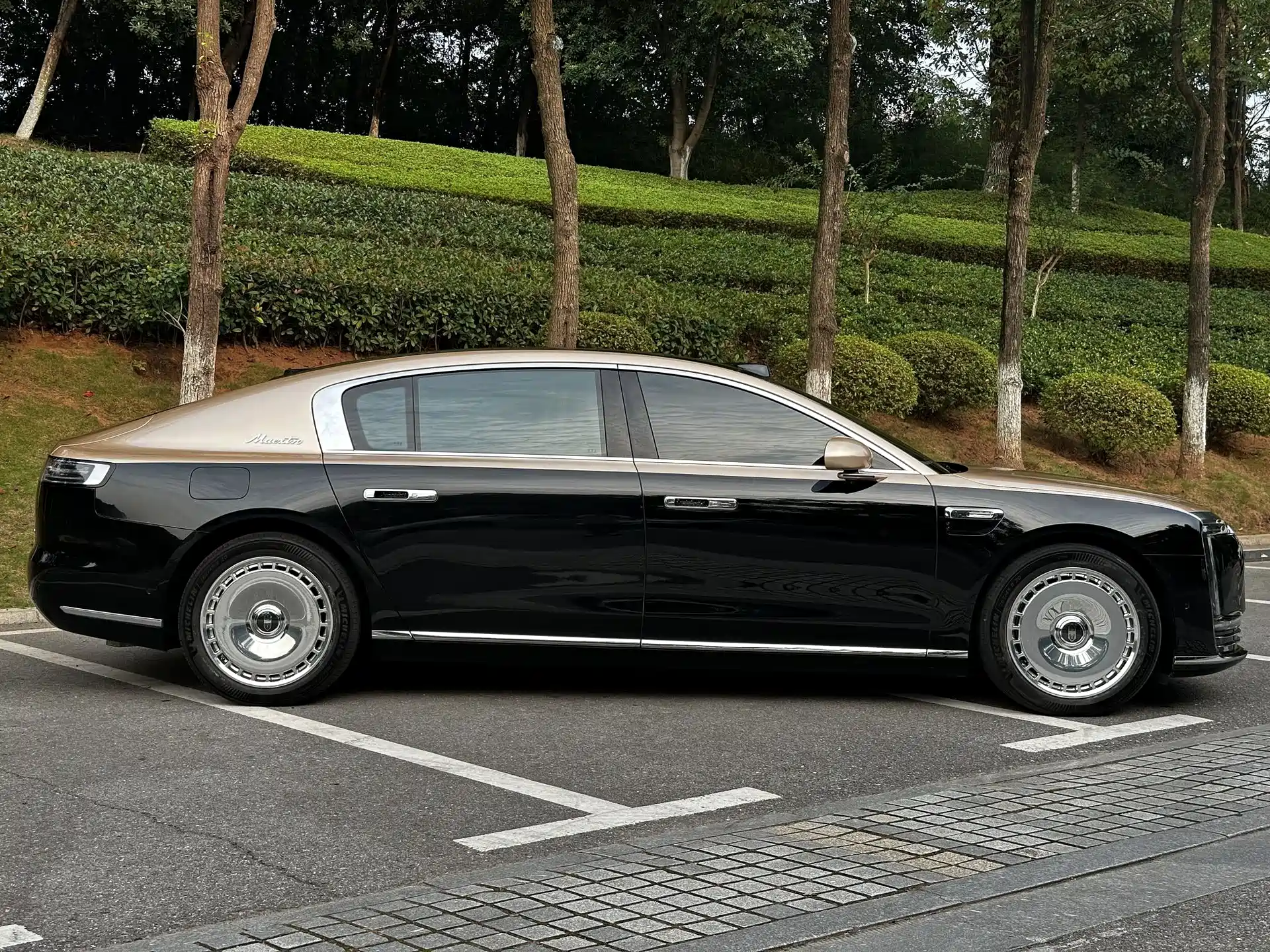 Photo 4 - Zunjie S800