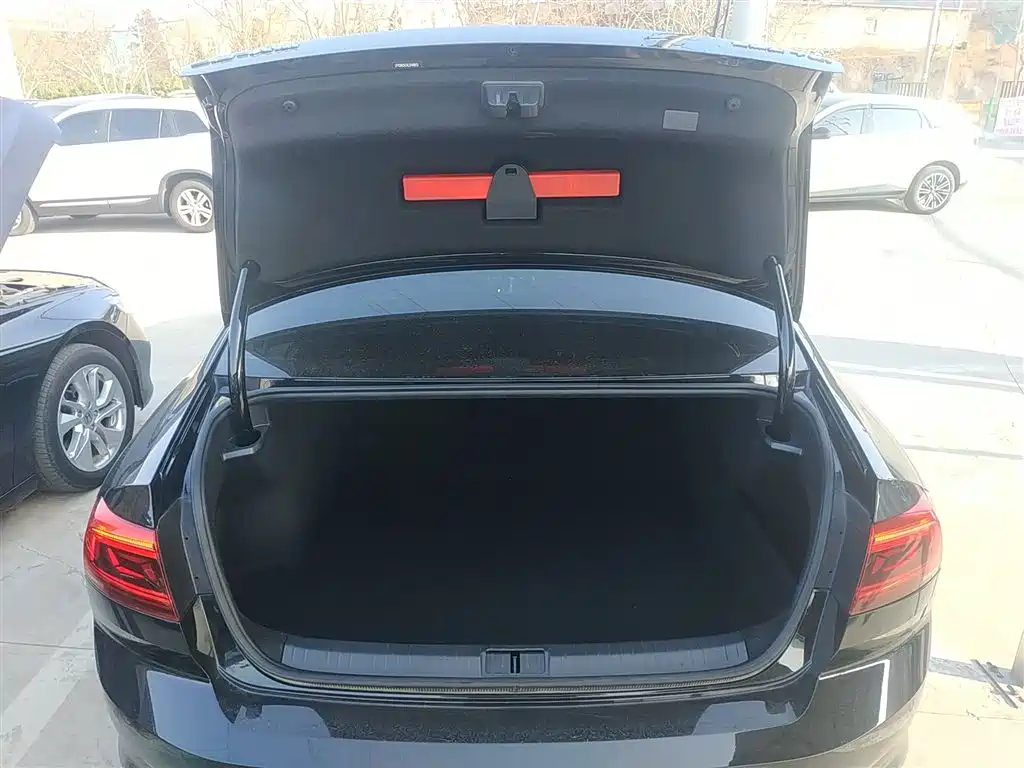 Volkswagen Magotan 2020 280TSI DSG Comfort фото 9