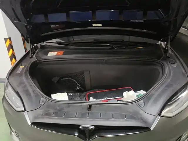Tesla Model X 2017 Model X 100D Long Range — фото 3