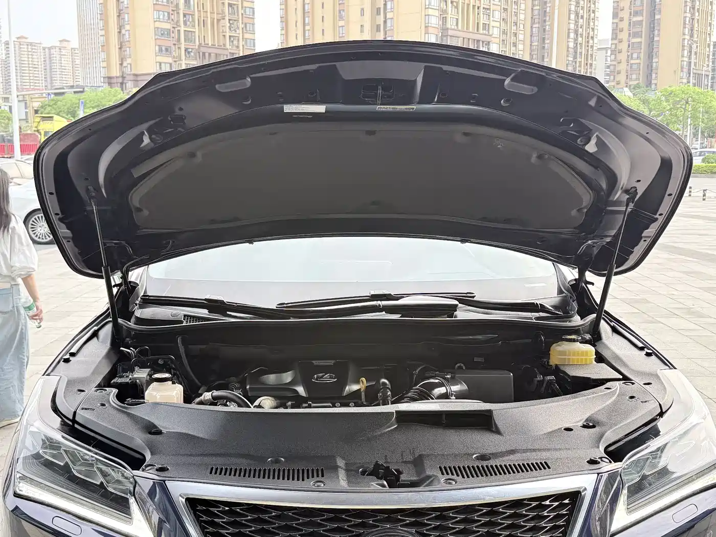 Lexus RX 2016 300 4WD Elegance Edition (China V) фото 21
