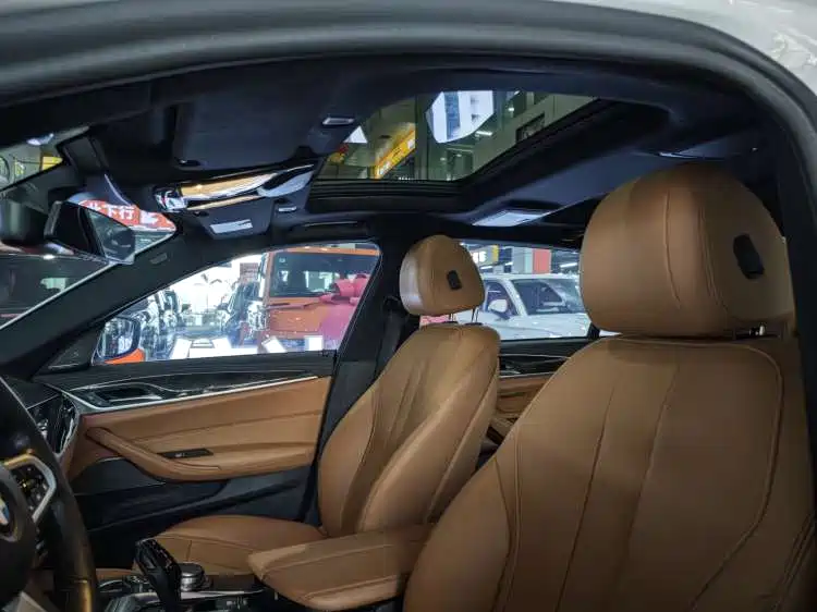BMW 5 Series 2020 530Li Exclusive M Sport Package фото 11