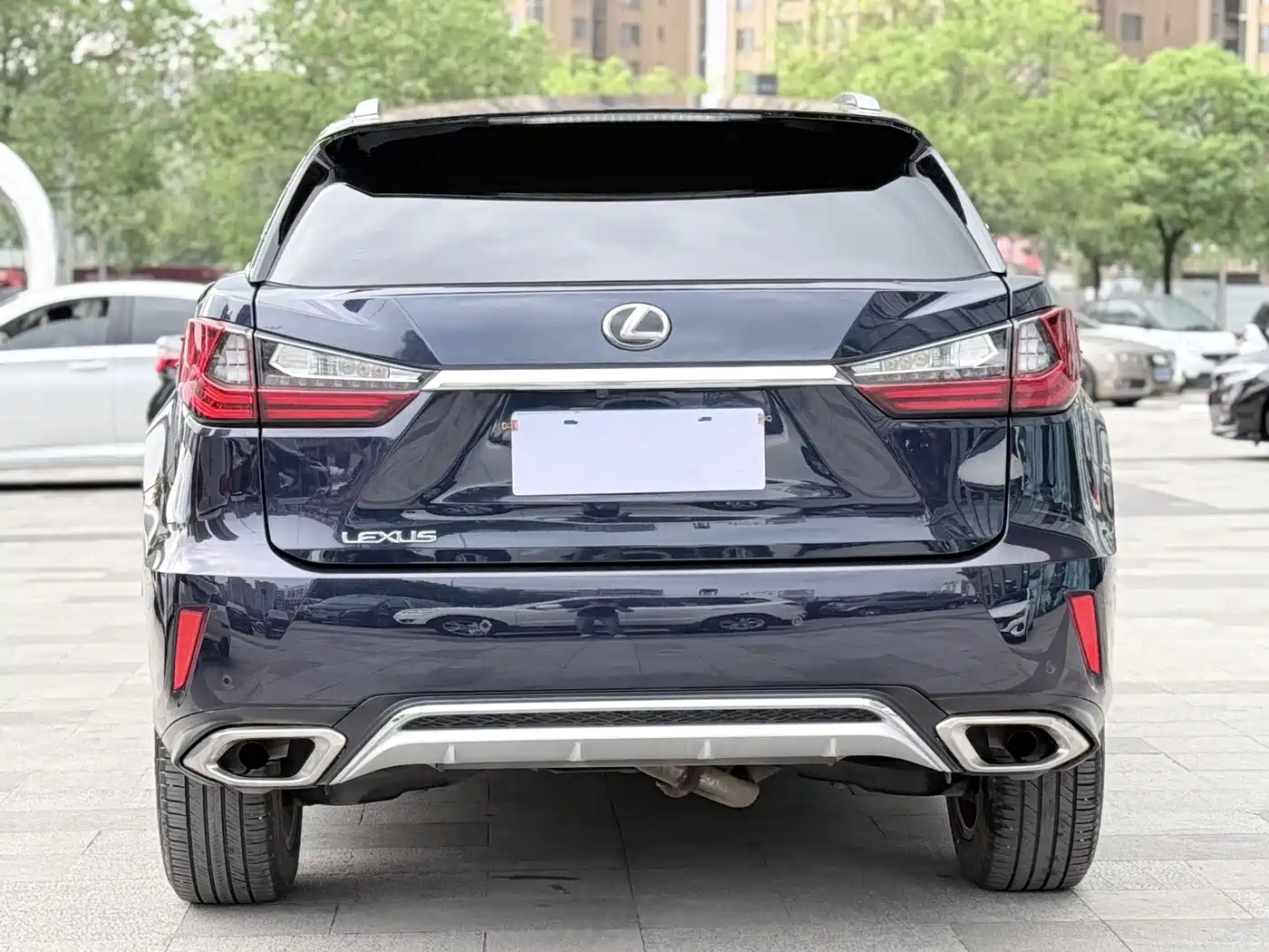 Lexus RX 2016 300 4WD Elegance Edition (China V) фото 3