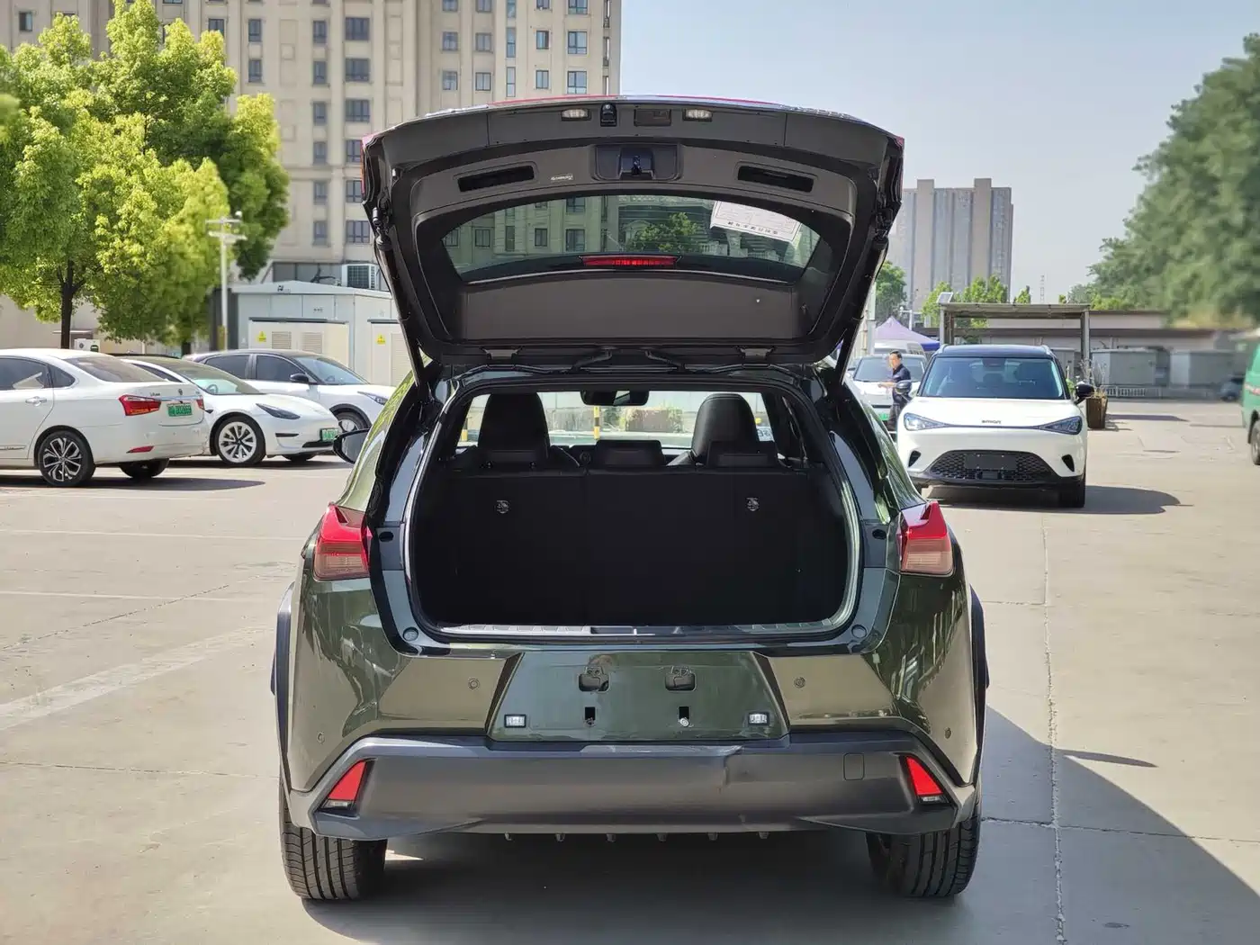 Lexus UX Electric 2020 300e Pure Enjoyment Edition фото 7