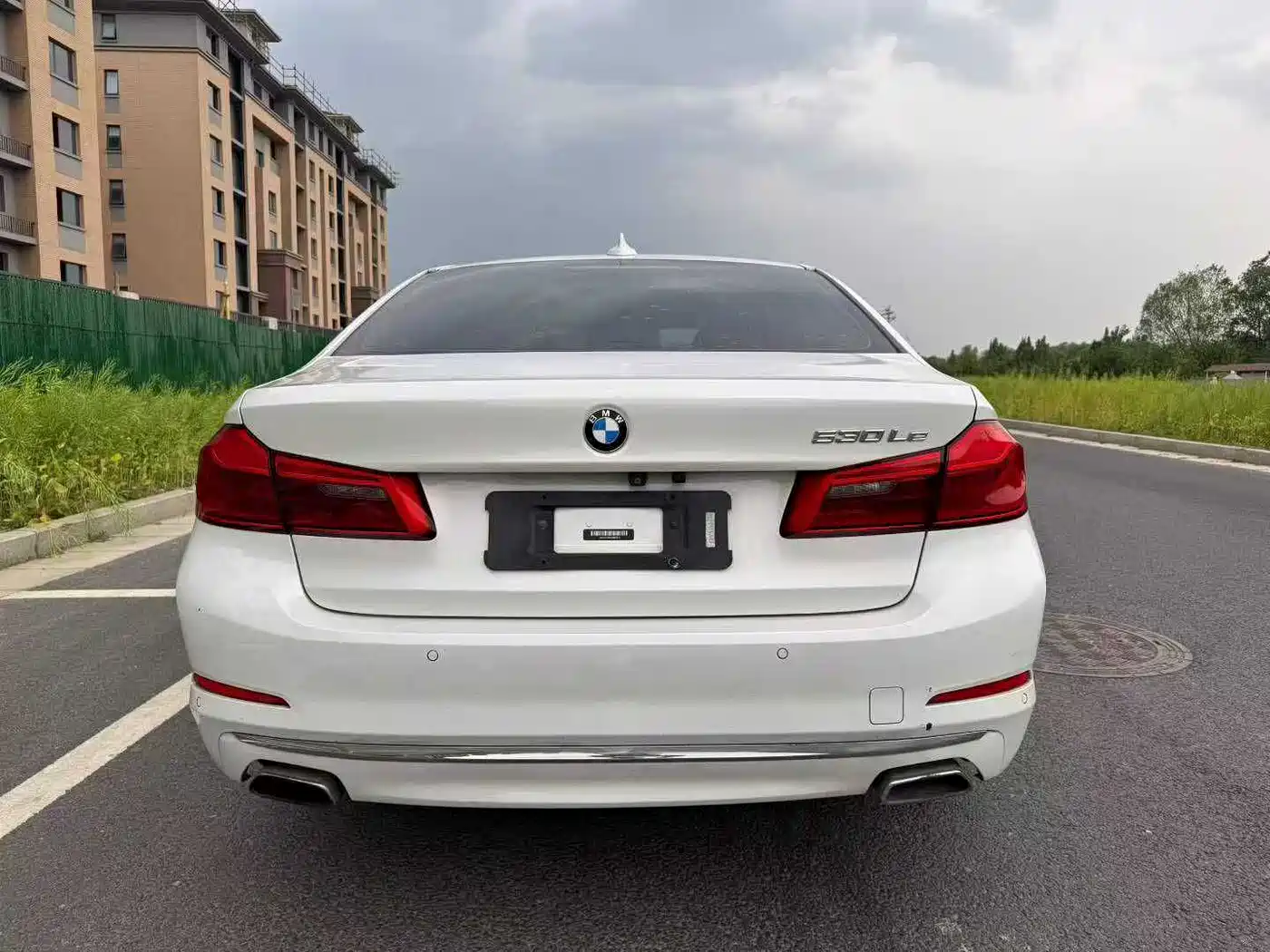 BMW 5 Series New Energy 2020 530Le Luxury Package фото 7