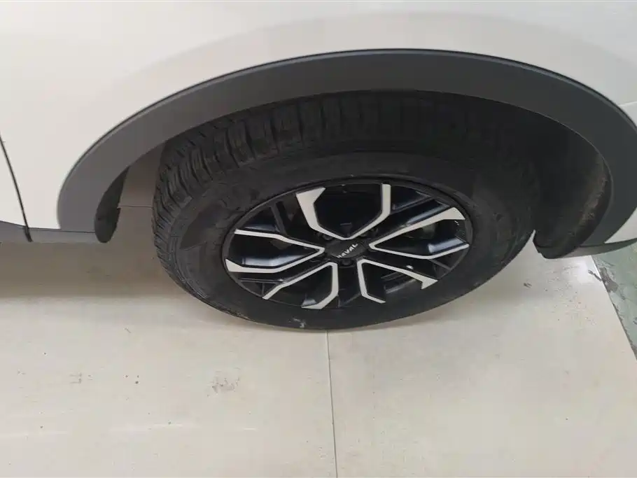 Haval H6 2023 National Trend Edition 1.5T Automatic Urban фото 6