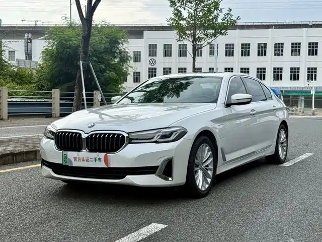  BMW BMW 5 Series New Energy 2021 535Le Luxury Package