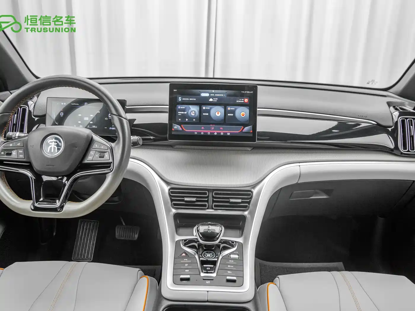 BYD Song Pro New Energy 2024 Glory Edition DM-i 71KM Pilot фото 14