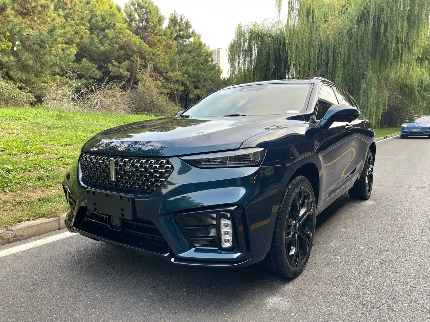 WEY VV7 2020 2020 Model 2.0T Flagship
