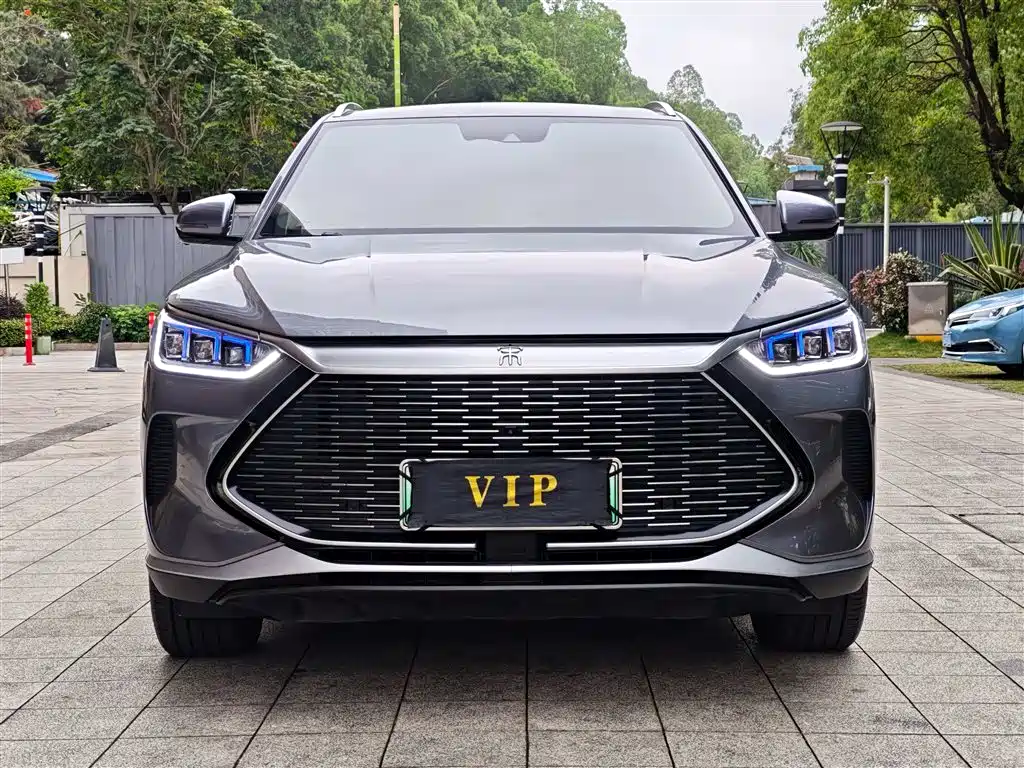 BYD Song PLUS PHEV 2021 DM-i 110KM Flagship PLUS фото 2