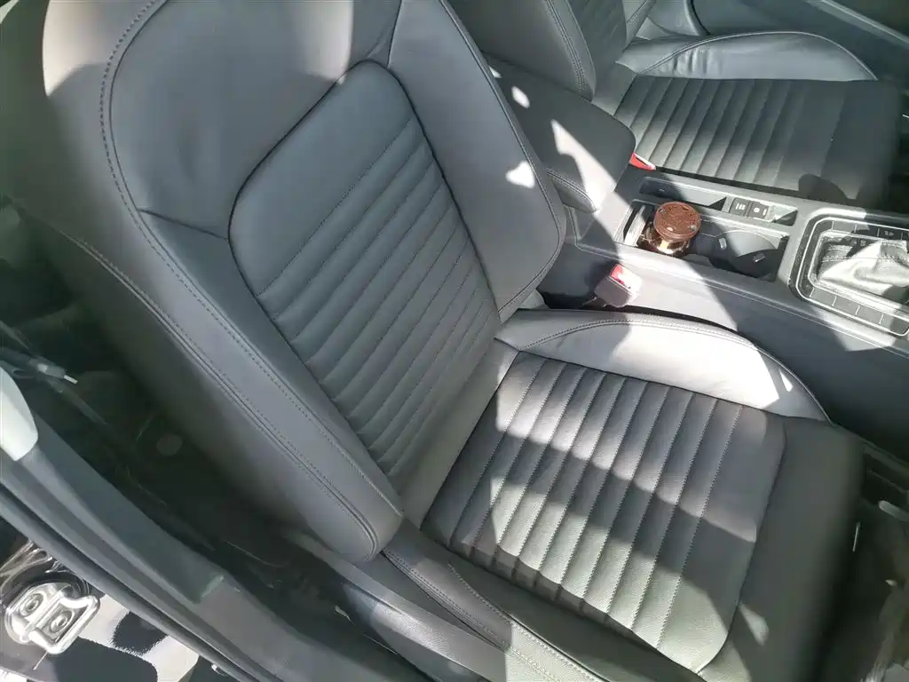 Volkswagen Magotan 2019 330TSI DSG Luxury Class China VI фото 20