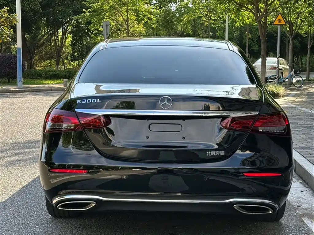Mercedes-Benz E-Class 2020 E 300 L Fashion фото 12