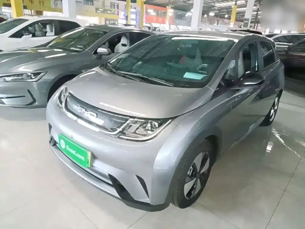BYD Dolphin 2023 420km Freedom Edition