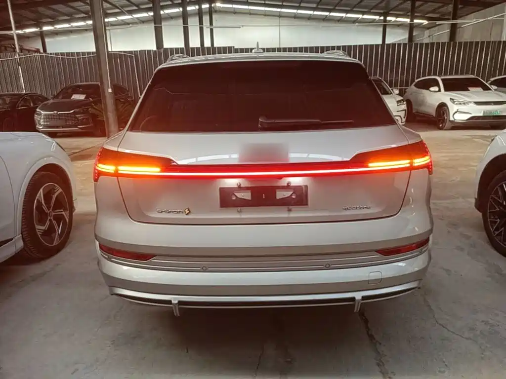 Audi e-tron 2024 2021 50 quattro Exclusive Selection