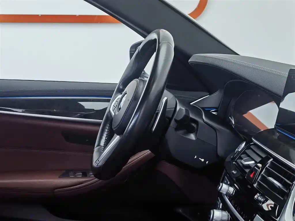 BMW 5 Series 2020 530Li Leading M Sport Package фото 22