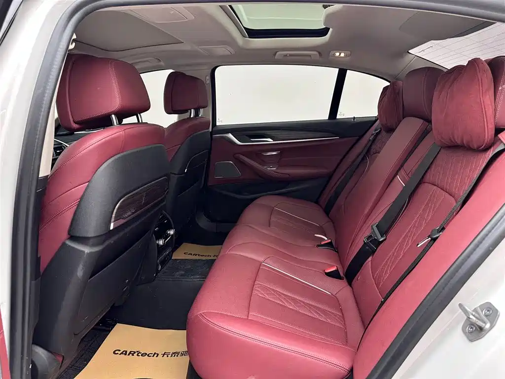BMW 5 Series 2021 530Li Premium Luxury Package фото 9