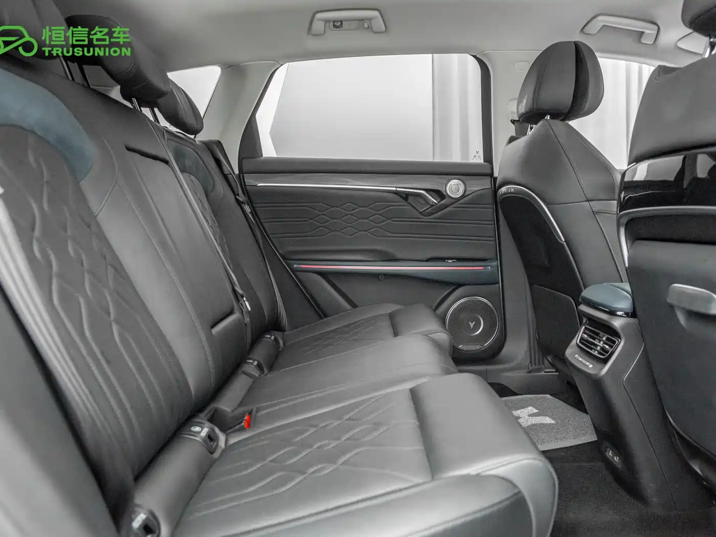 Voyah Auto VOYAH FREE 2021 4WD Extended Range Launch Edition Exclusive Luxury Package фото 16