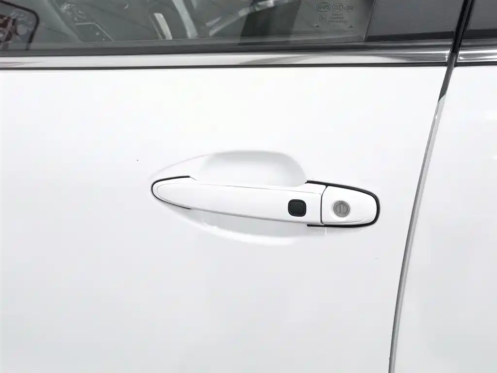 BYD Tang New Energy 2015 2.0T 4WD Flagship фото 18