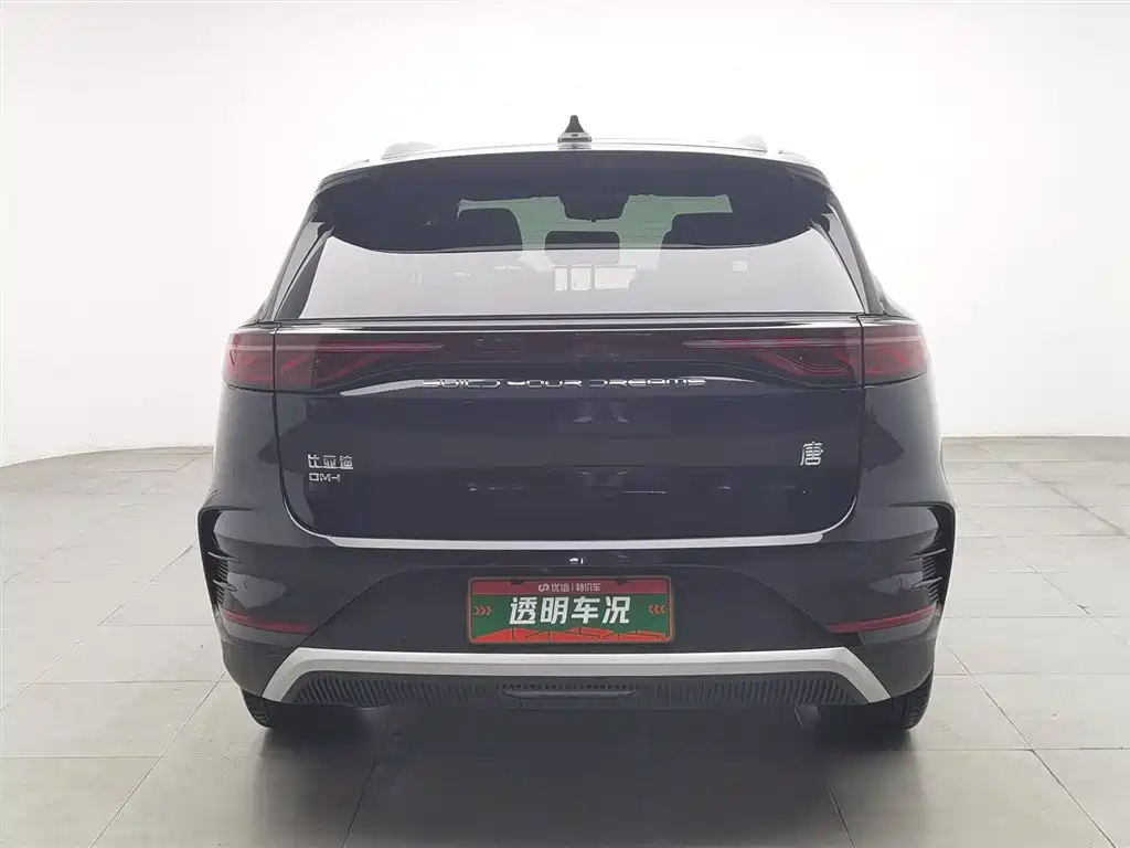 BYD Tang New Energy 2025 DM-i 115KM Prestige Type фото 4