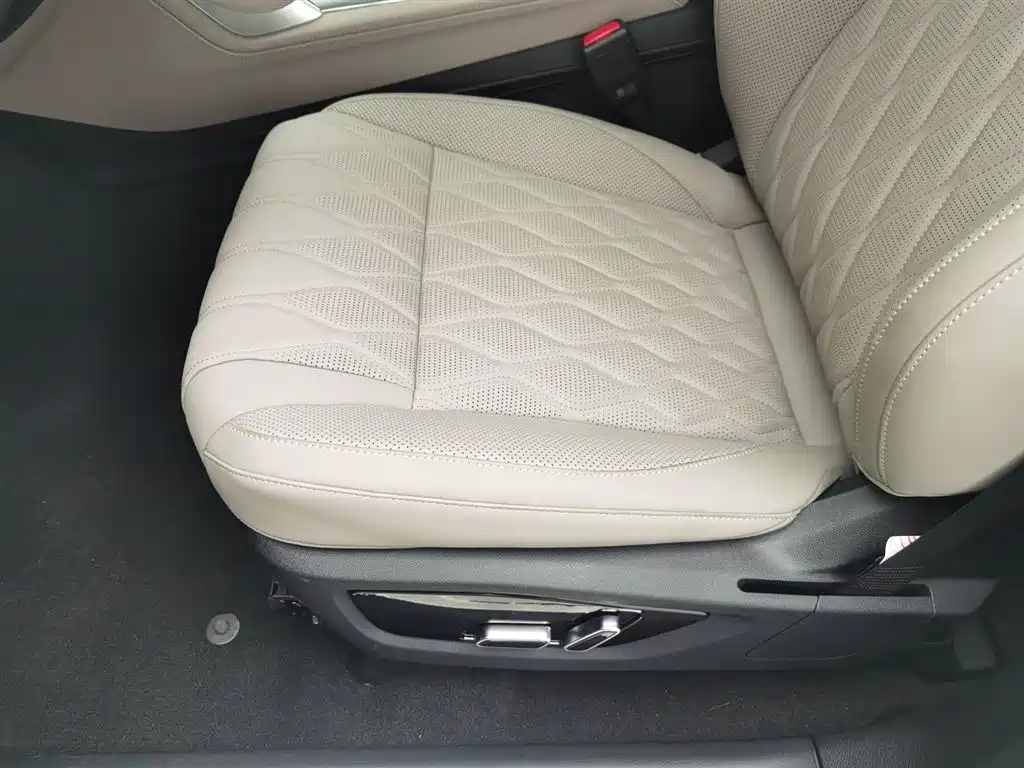 BYD Tang New Energy 2025 DM-i 115KM Prestige Type фото 20