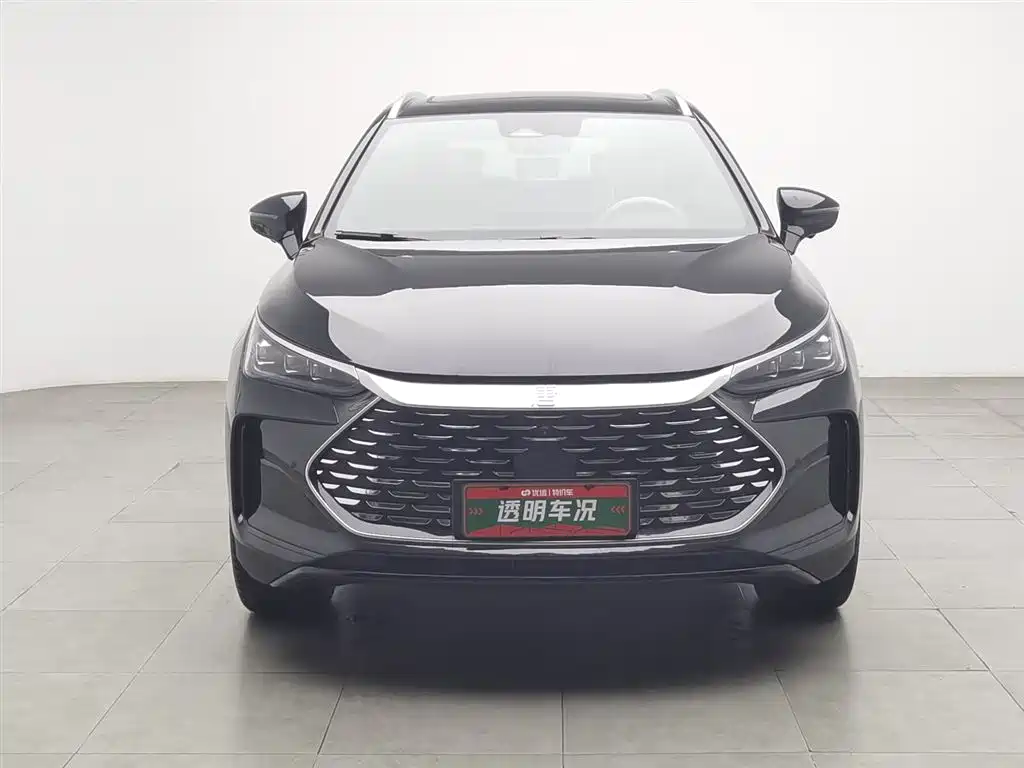 BYD Tang New Energy 2025 DM-i 115KM Prestige Type фото 3