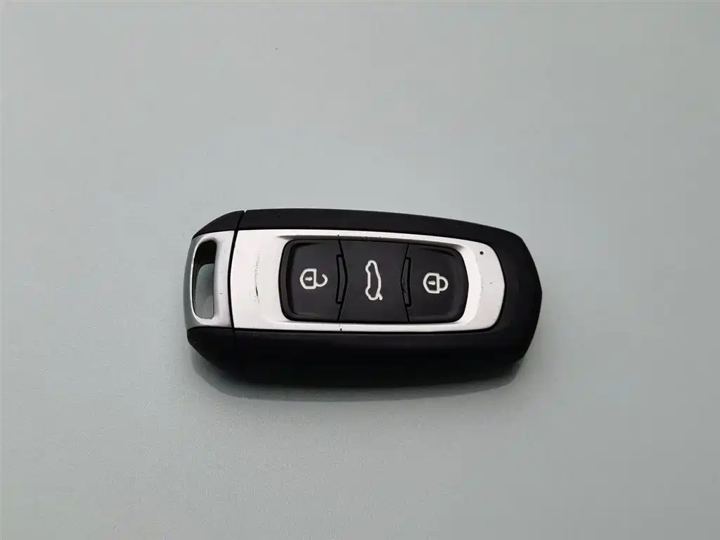 Geely Galaxy Panda 2024 Panda mini 200km Endurance Bear фото 19