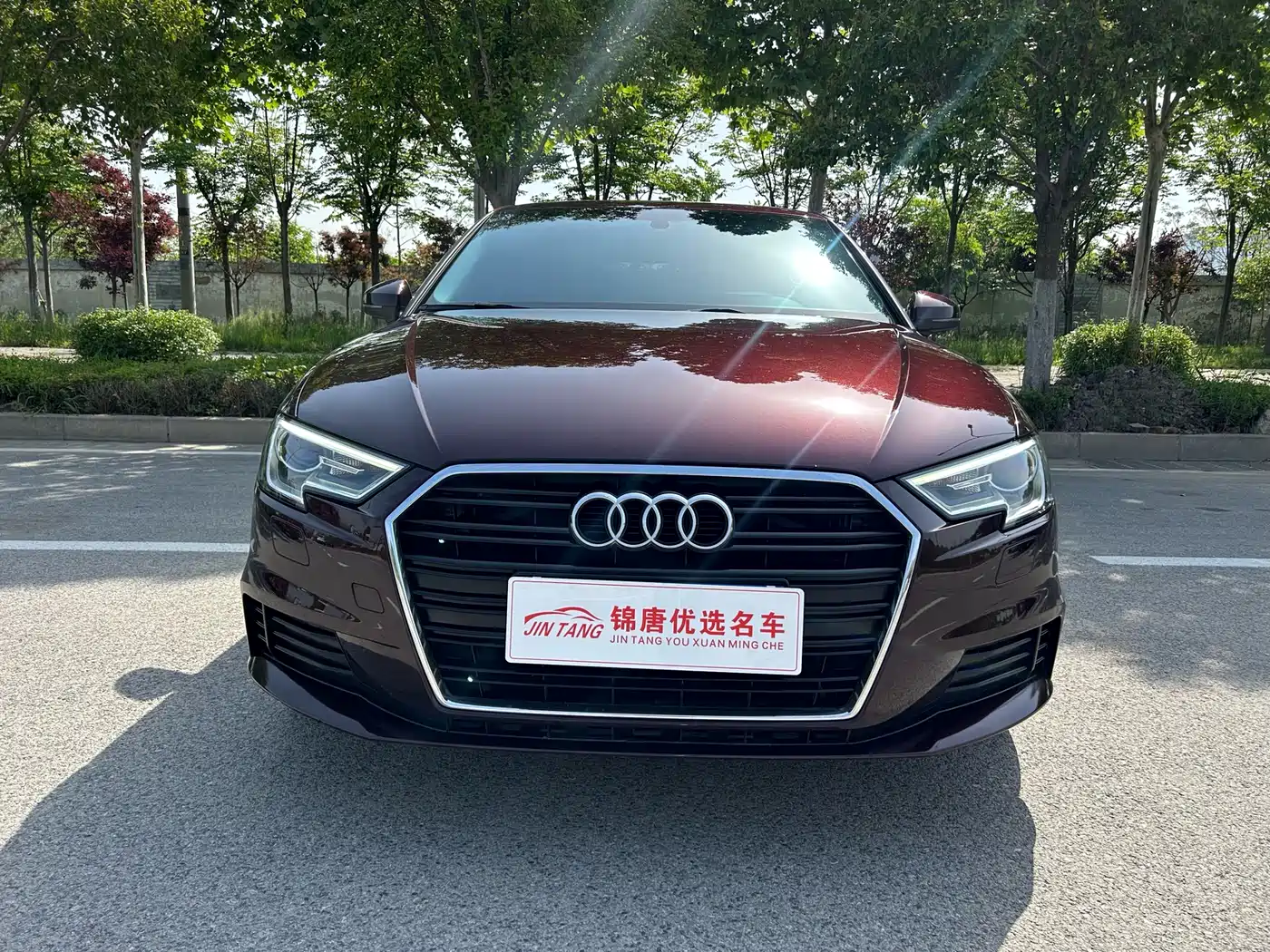 Audi A3 2018 30th Anniversary Sportback 35 TFSI Progressive фото 2