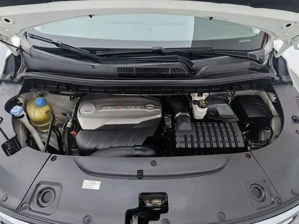 GAC Trumpchi Trumpchi M8 2018 320T Luxury Edition фото 6
